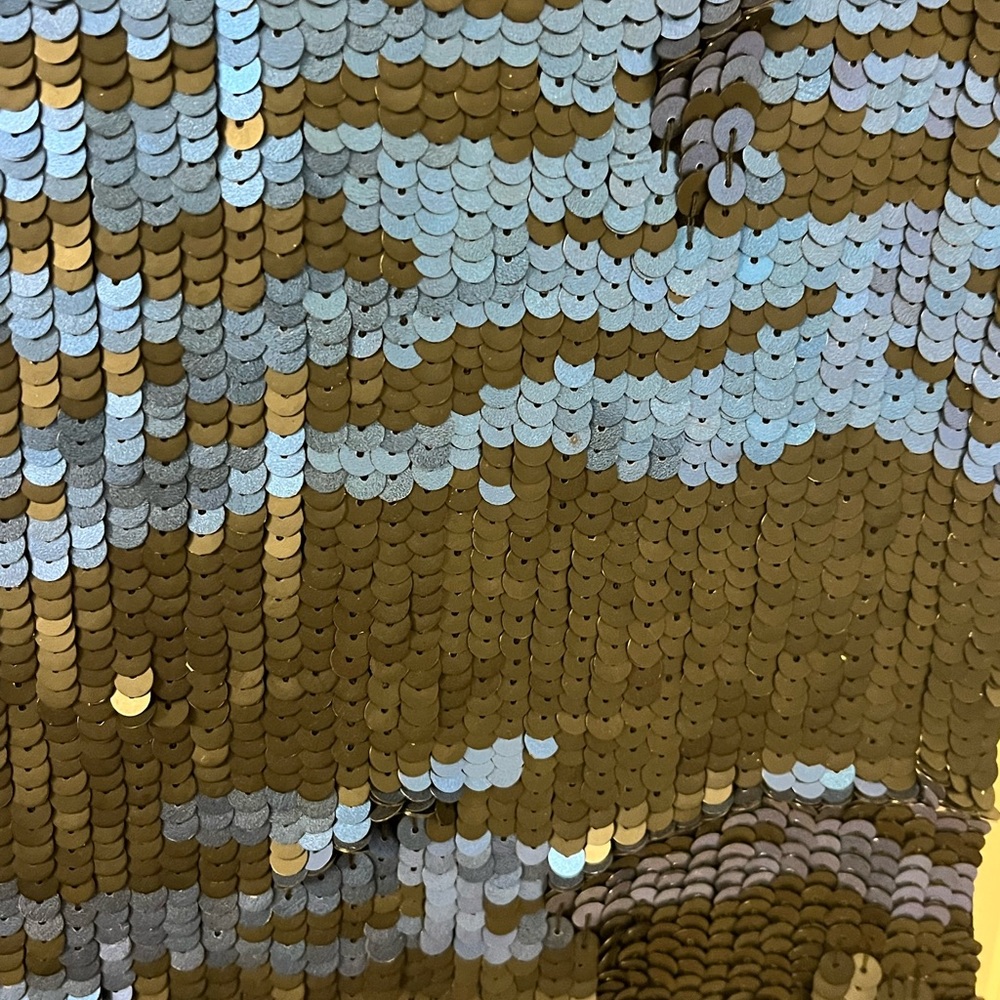 Pierre Balmain Sequin Zebra Stripe Tunic - image 5